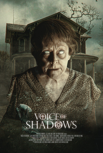 Voice of Shadows - Review