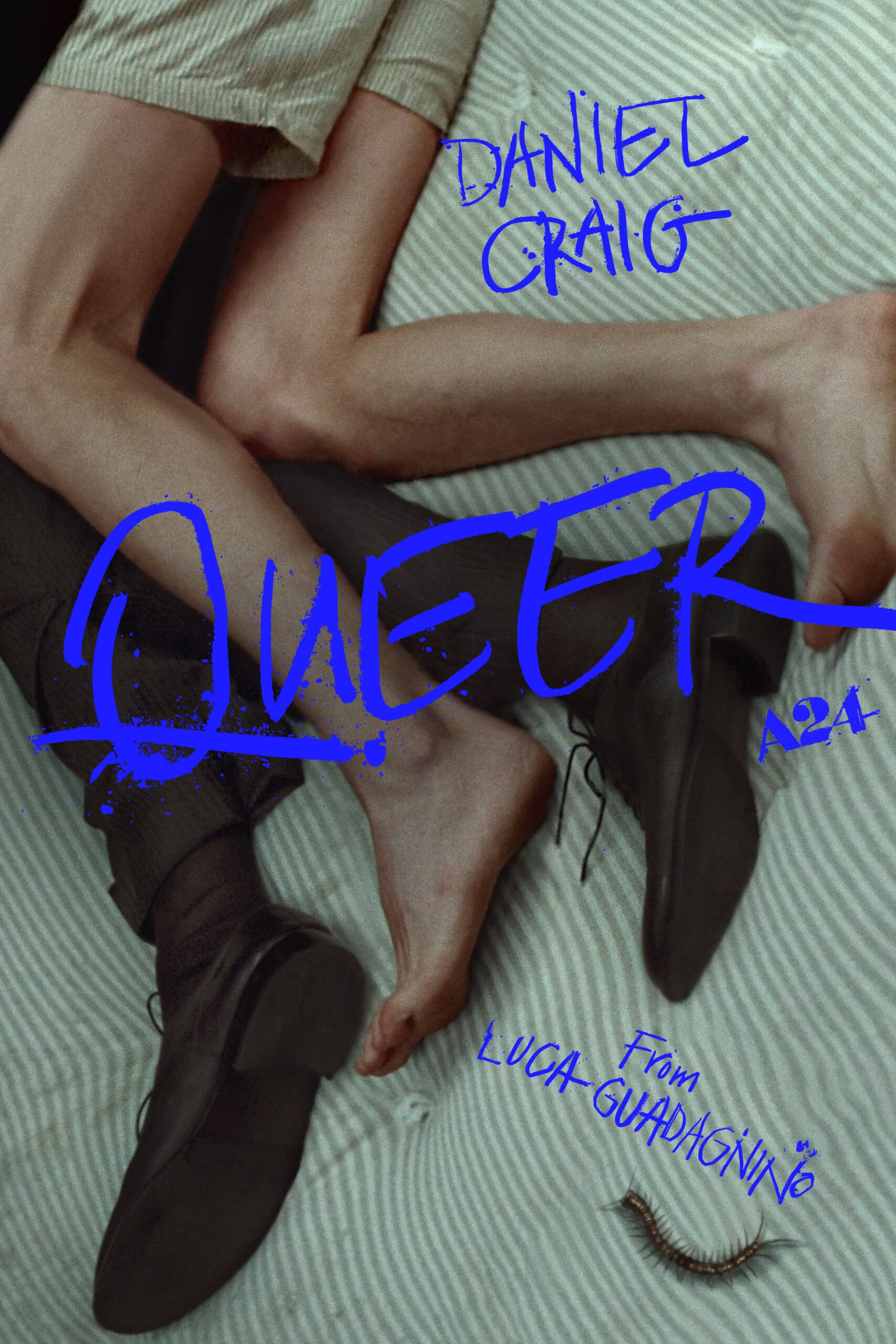 Queer - Review