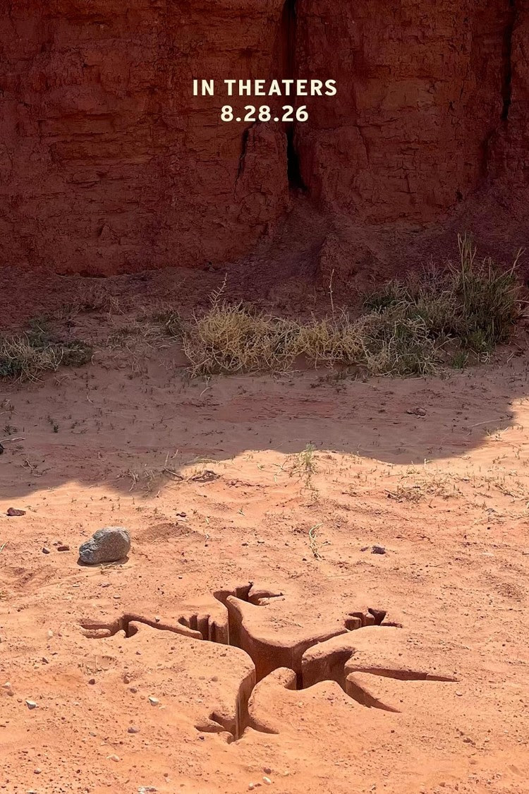 Coyote vs Acme - Review